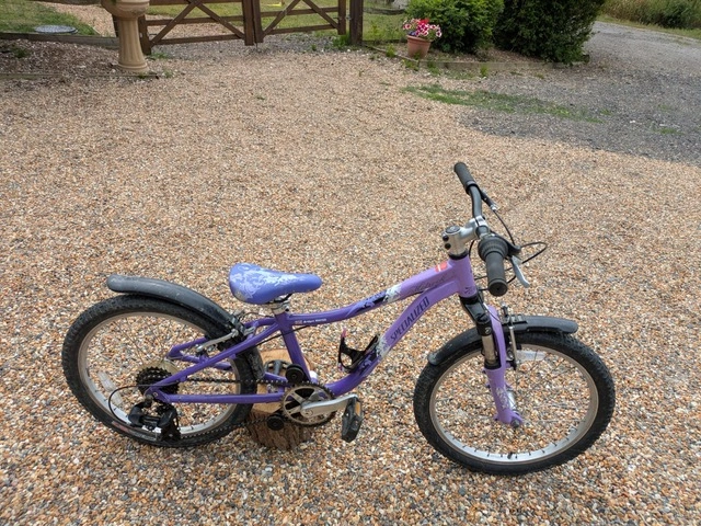 Bike hire from Lower Gate Glamping