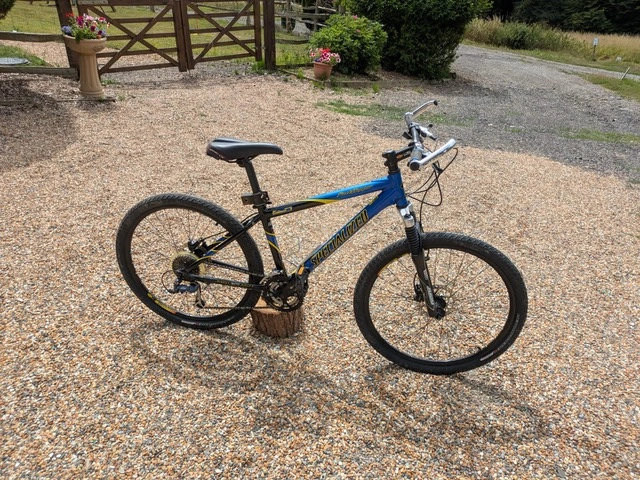 Perfect bikes for scenic cycling routes